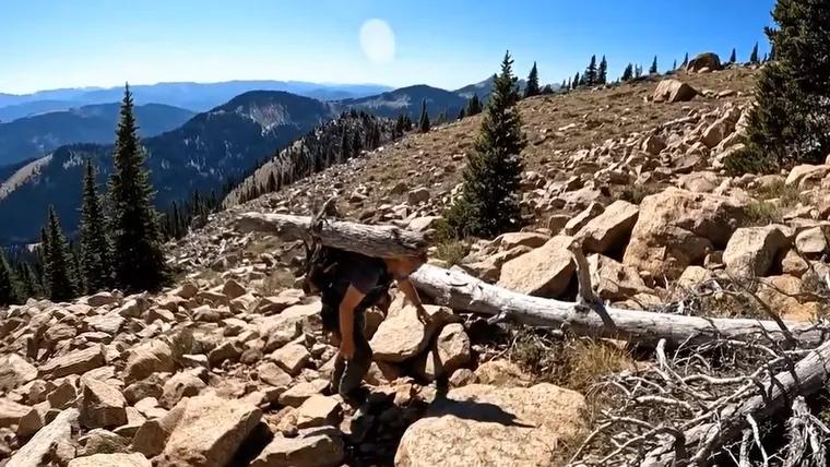 The Recovery — Wildfires' Creations process